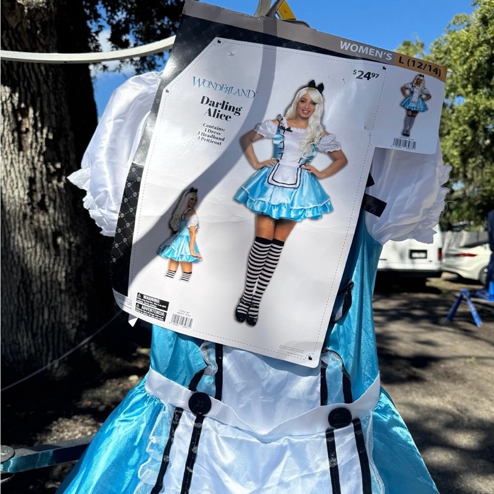 Alice in Wonderland Adult Costume!!